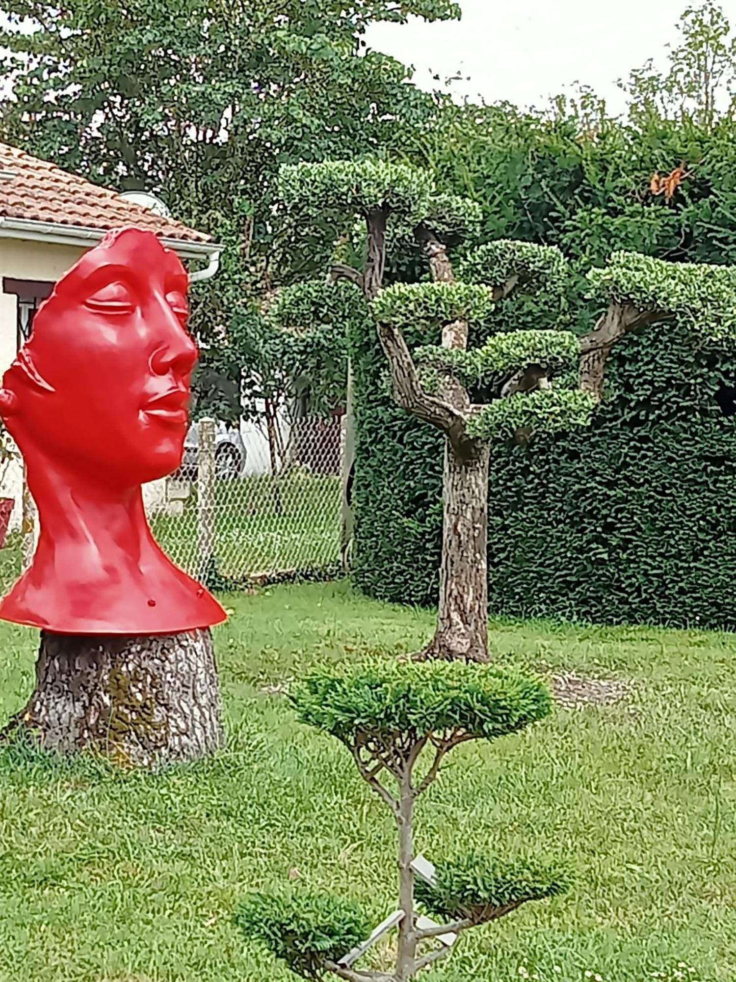 une pause quelque part au jardin des érables et des niwakis Saint-Medard-de-Guizieres Esterno foto